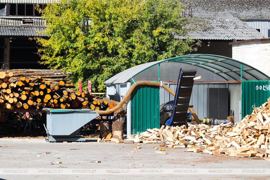 В Брестском лесхозе рассказали, как предприятия и жители областного центра и окрестностей готовятся к сезону холодов