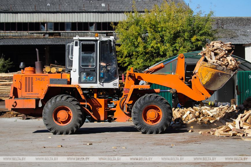 В Брестском лесхозе рассказали, как предприятия и жители областного центра и окрестностей готовятся к сезону холодов