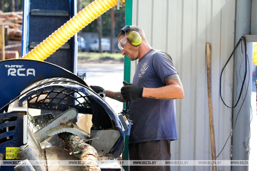 В Брестском лесхозе рассказали, как предприятия и жители областного центра и окрестностей готовятся к сезону холодов