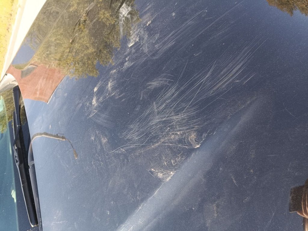 Это какой-то челлендж? Очень странный мужчина «позагорал» на капоте чужого авто