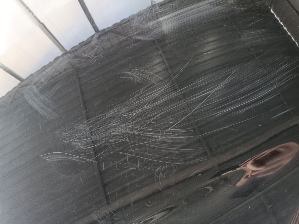 Это какой-то челлендж? Очень странный мужчина «позагорал» на капоте чужого авто