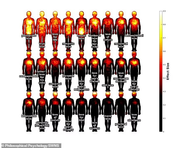 Где живёт любовь? Ученые составили «телесную карту» этого чувства