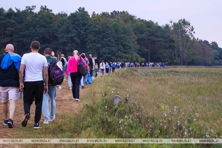 Туристов позвали послушать музыку осенней Беловежской пущи. Как это было