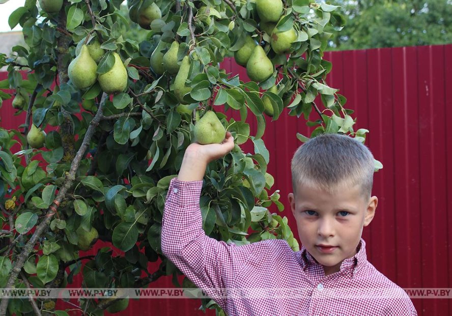 Жемчужную свадьбу отметили родители девятерых детей Ольга и Василий Попитич из Пинского района