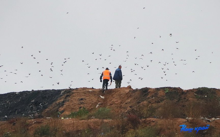 Большая стройка развернулась вблизи деревни Деревной Барановичского района