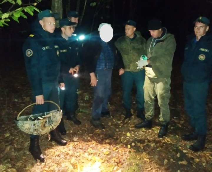 В Ганцевичском районе найден заблудившийся грибник