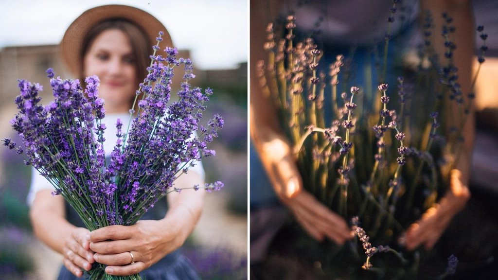 «До сих пор говорят: лучше бы картошку посадила». Как белоруска создала бизнес, выращивая лаванду