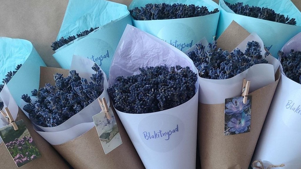 «До сих пор говорят: лучше бы картошку посадила». Как белоруска создала бизнес, выращивая лаванду