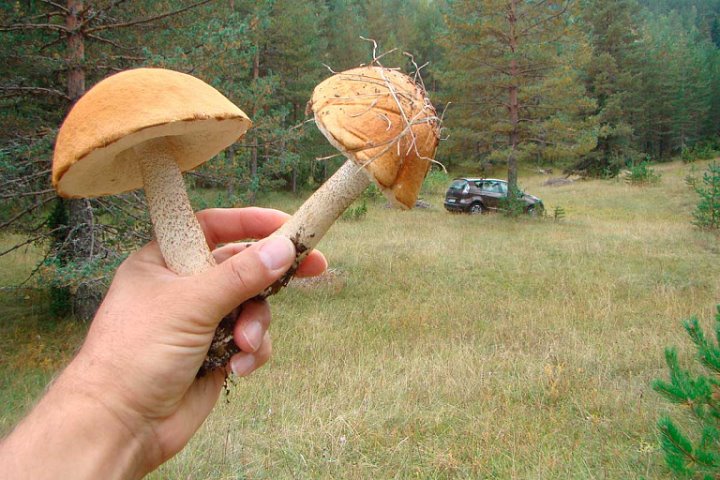 Фото из открытых источников (иллюстративное)