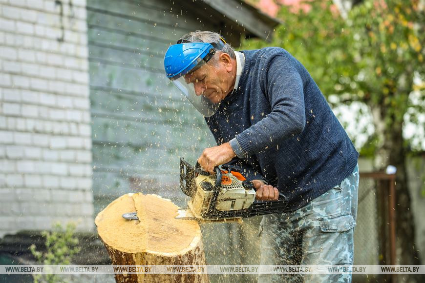 Мастер из Каменецкого района создал более 300 деревянных скульптур