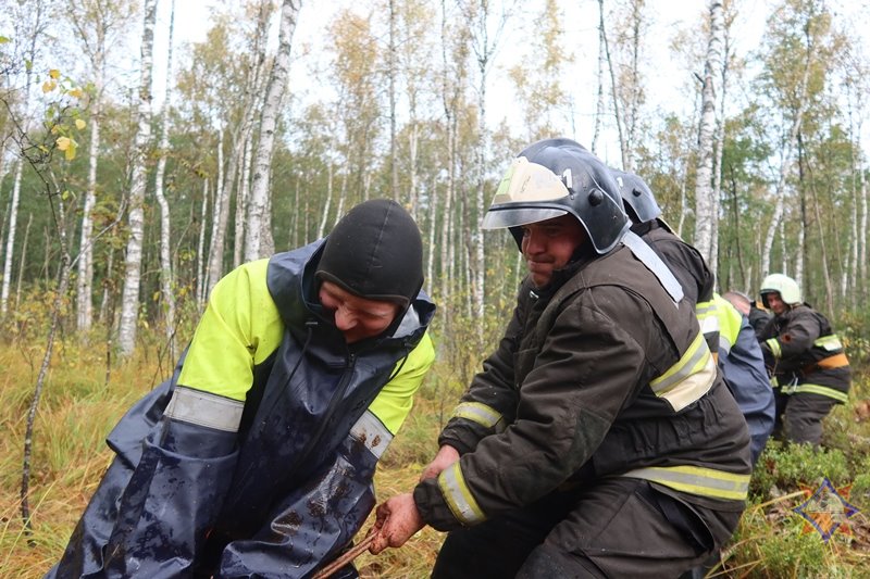 В Беларуси спасли 14 провалившихся в болото коров