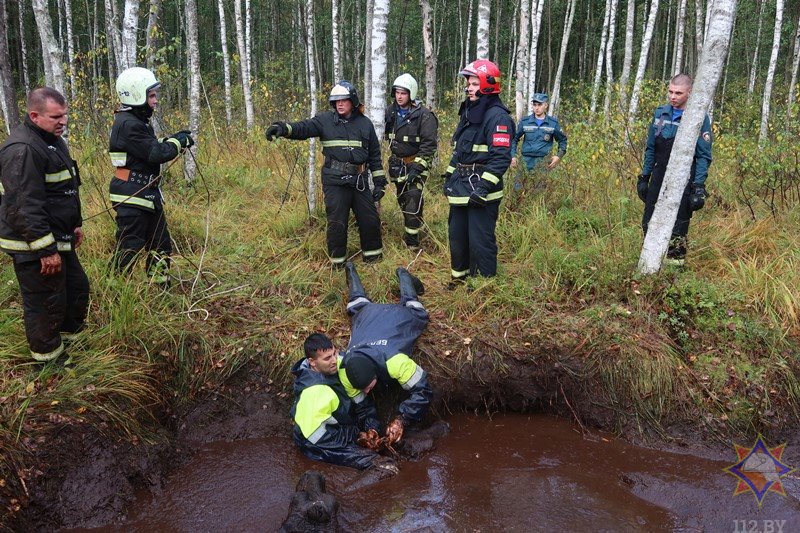 В Беларуси спасли 14 провалившихся в болото коров