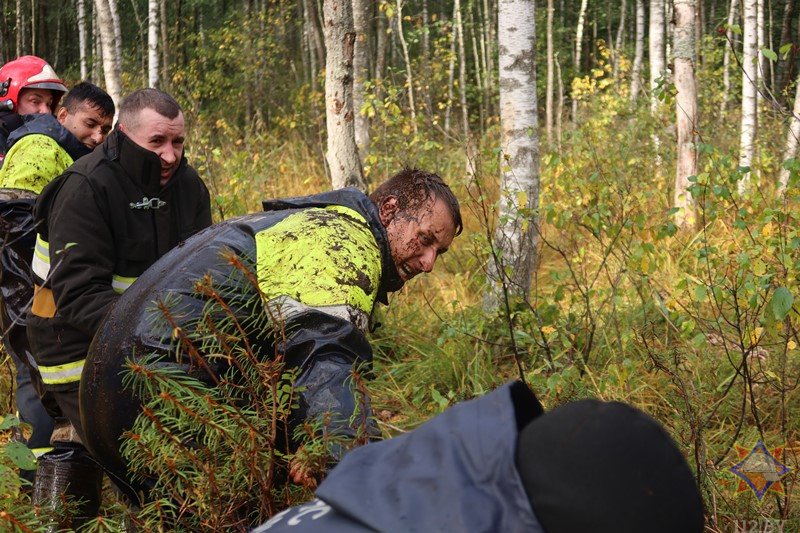 В Беларуси спасли 14 провалившихся в болото коров