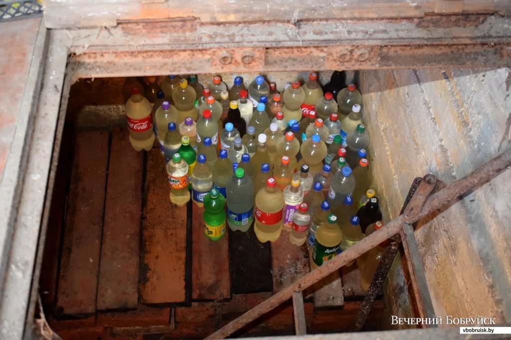 «Лисичек сдавали на 800 рублей, черники – на 1000, корзин продали на 3 тысячи». Как семья подрабатывает на дарах природы