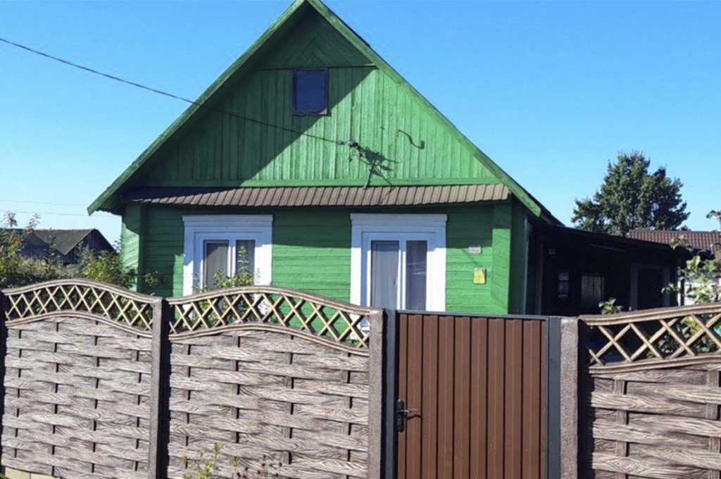 Жительница Брестской области нашла на даче странный камень — теперь его исследуют ученые