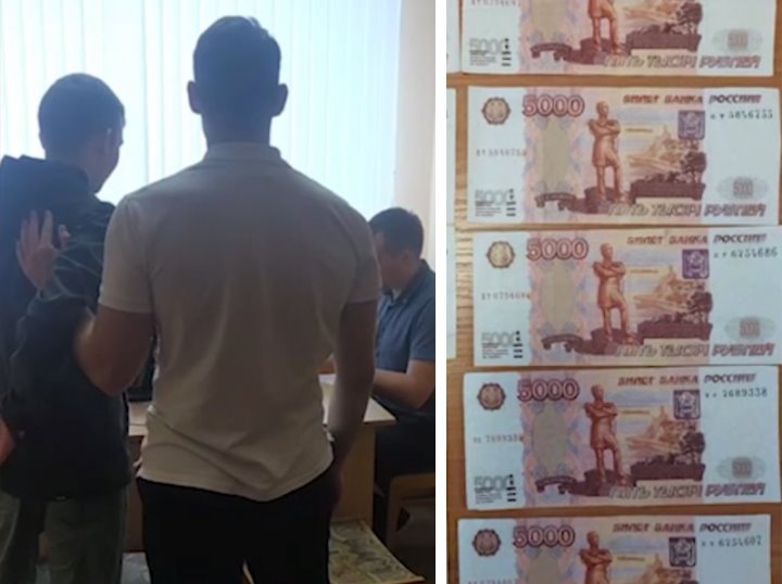 Фото: Скриншот из видео