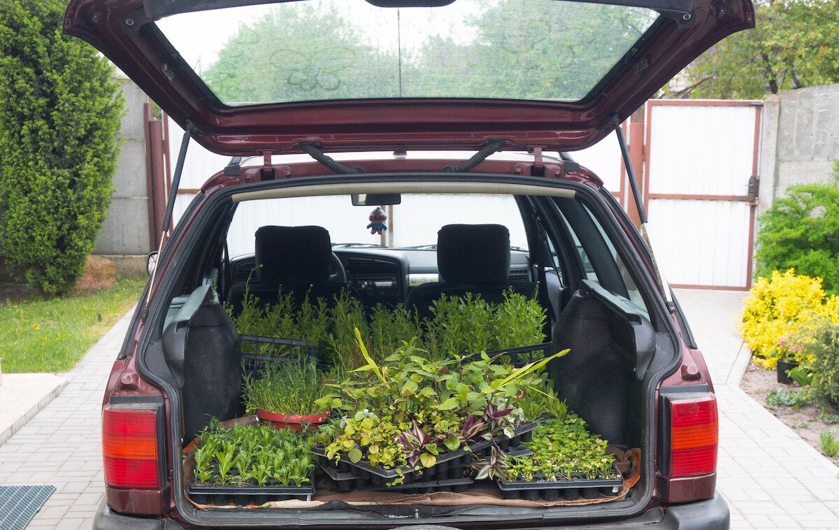 Брестчанин превратил VW Passat (B4) в «кветкамобиль»