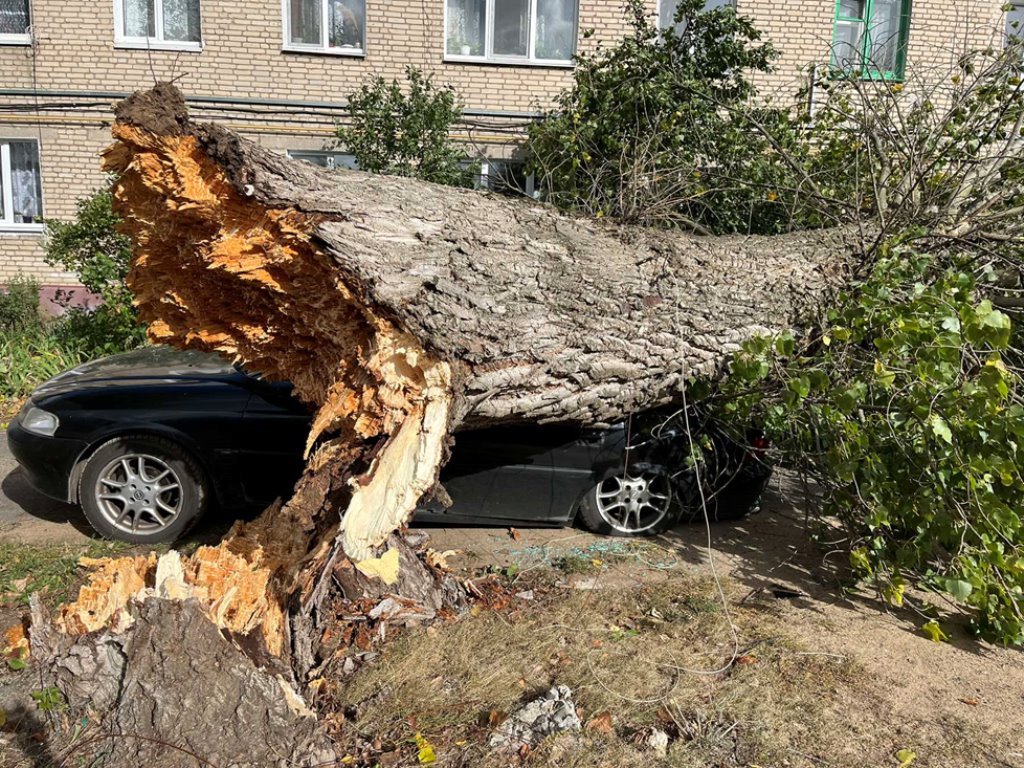 Последствия непогоды на Брестчине