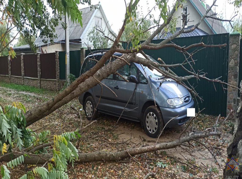 Последствия непогоды на Брестчине