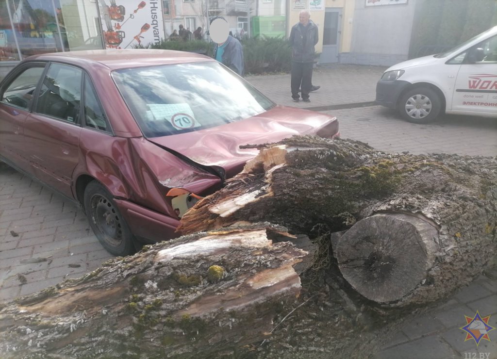 Последствия непогоды на Брестчине