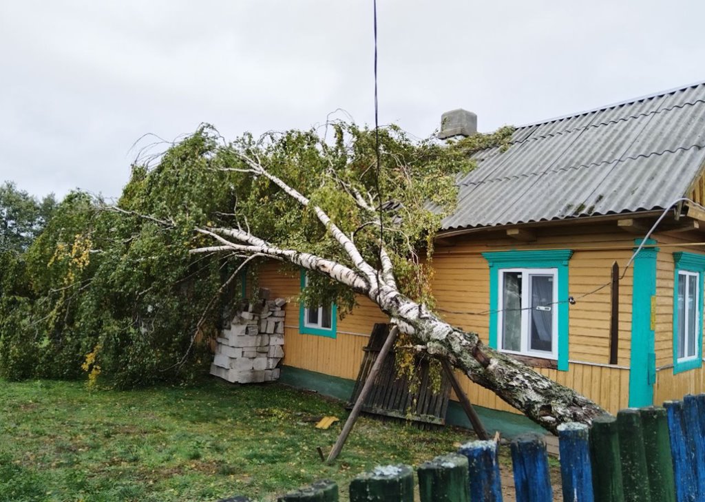 Последствия непогоды на Брестчине