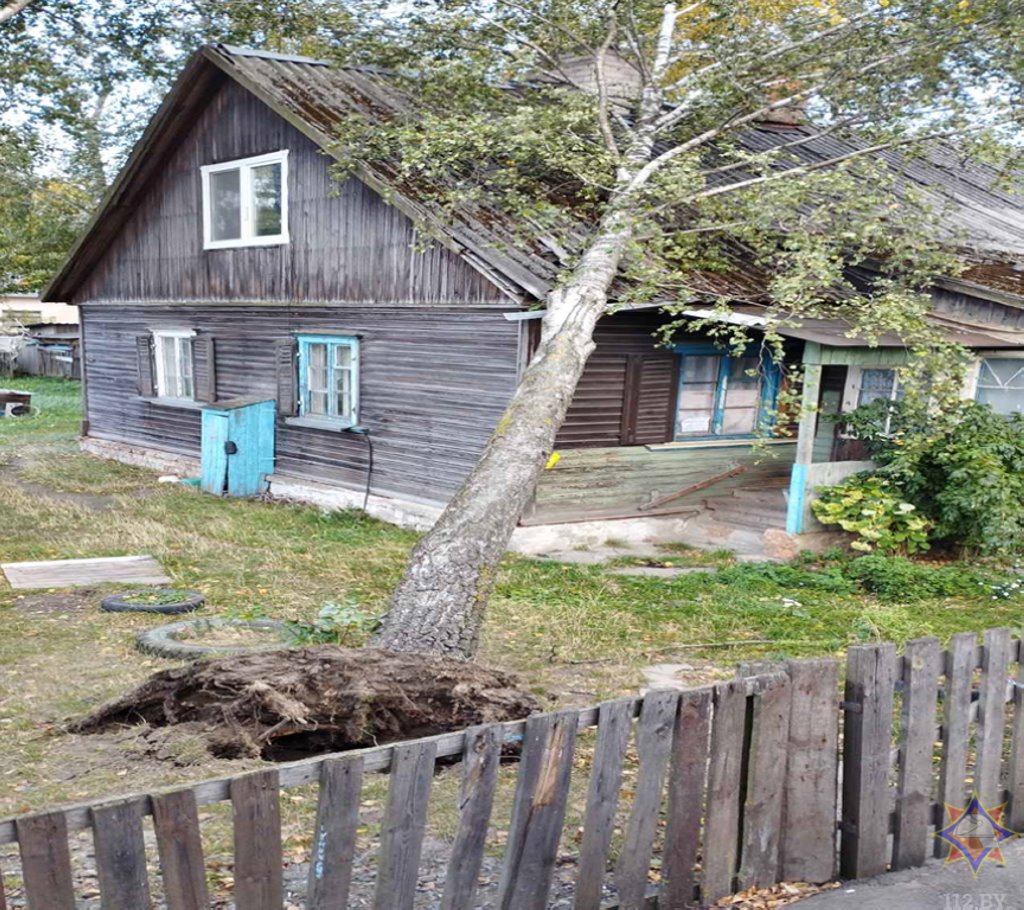 Последствия непогоды на Брестчине