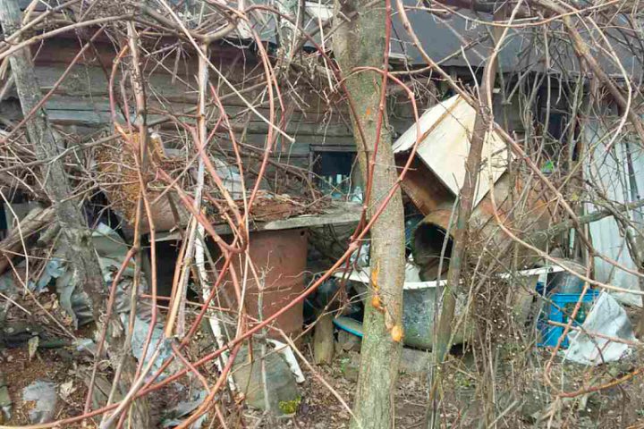 «Это неизлечимая болезнь»: белоруска откровенно рассказала об отце-плюшкине