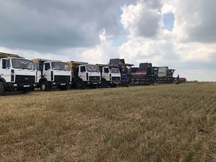 Прямая трансляция с полей. Как видео работника сельхозпредприятия стали популярными в ТikTok