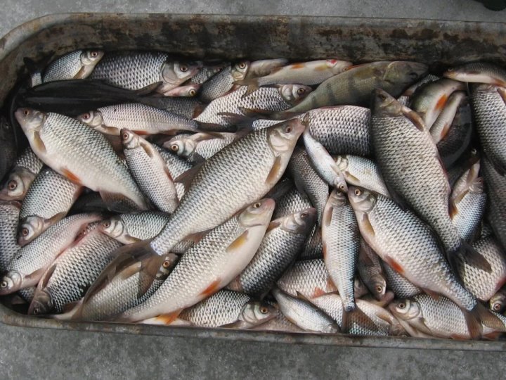 Фото из открытых источников (иллюстративное)