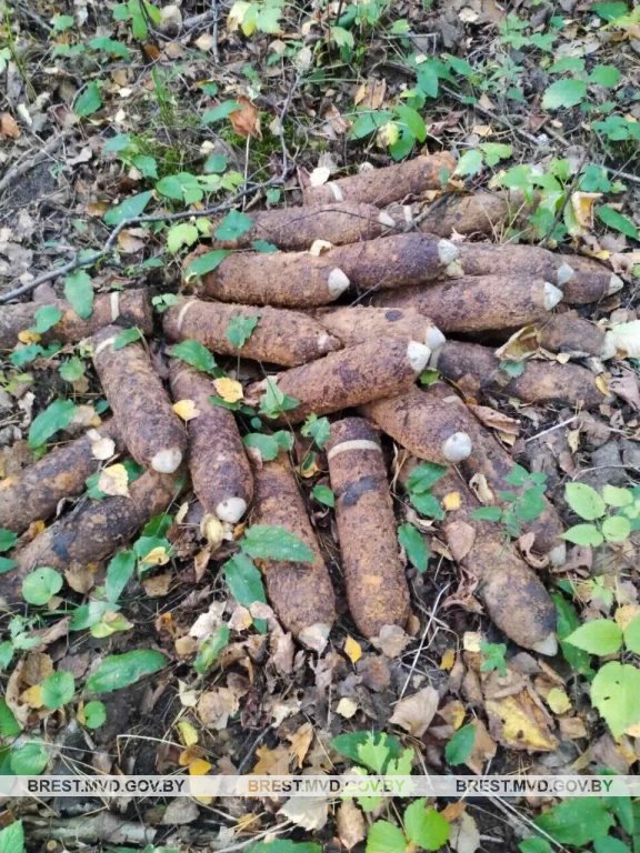 В Брестской области грибник нашел 20 артснарядов