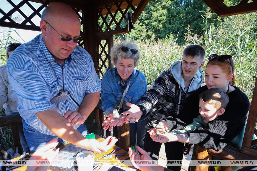 Как обживаются туры на болотах биологического заказника в Брестской области. Репортаж