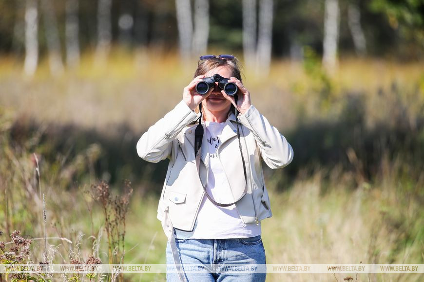Как обживаются туры на болотах биологического заказника в Брестской области. Репортаж