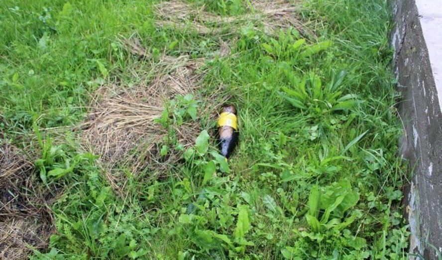 Очередной конфликт между сожителями закончился смертью женщины. Подробности трагедии