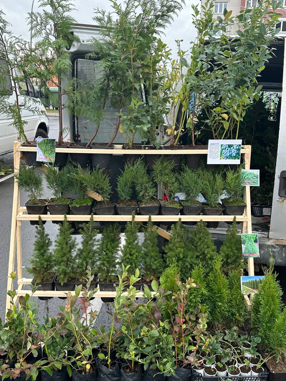 В Бресте стартовали осенние сельскохозяйственные ярмарки