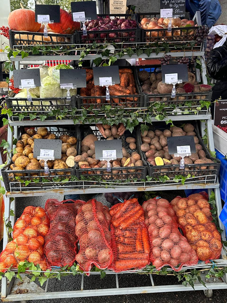 В Бресте стартовали осенние сельскохозяйственные ярмарки