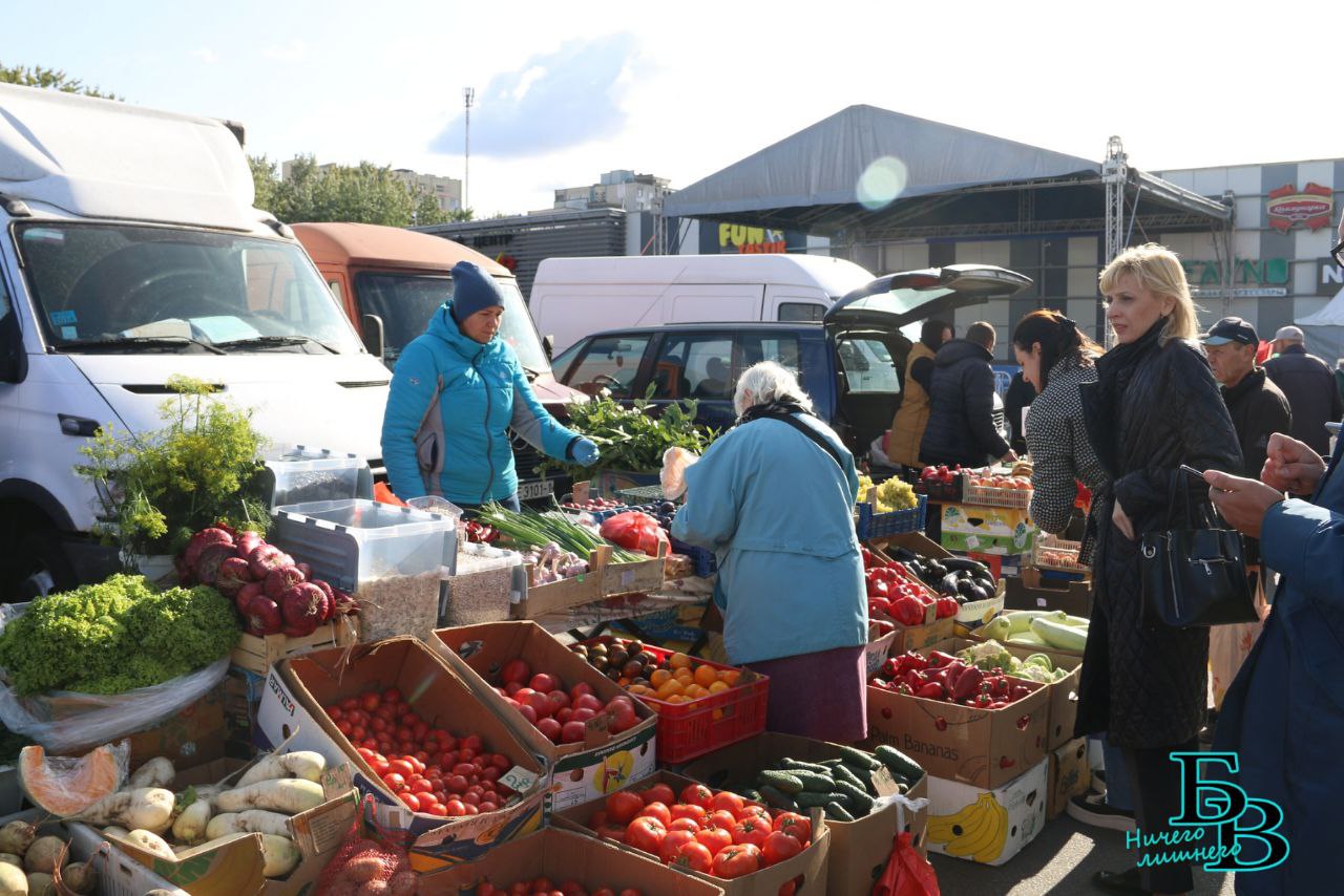 Что почем на сельхозярмарках в Бресте. Глянули на ценники