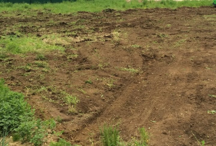 Фото из открытых источников (иллюстративное)