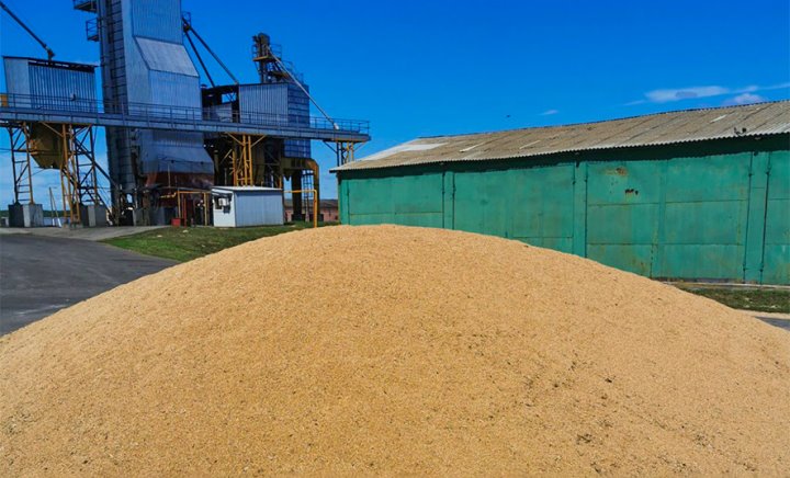 Тракторист в Дрогичинском районе украл более двух тонн зерна: вынесен приговор