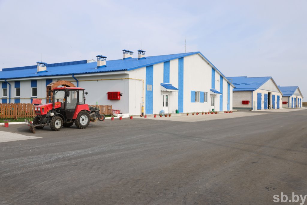 1350 голов дойного стада и 37 тонн молока в сутки - как работает самая крупная ферма в Каменецком районе