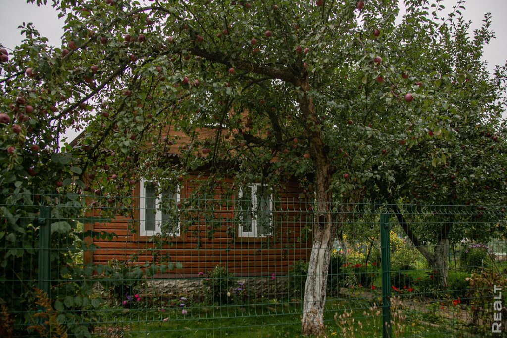 «Картинка почти никогда не передает реальность». Как молодая пара искала дом своей мечты