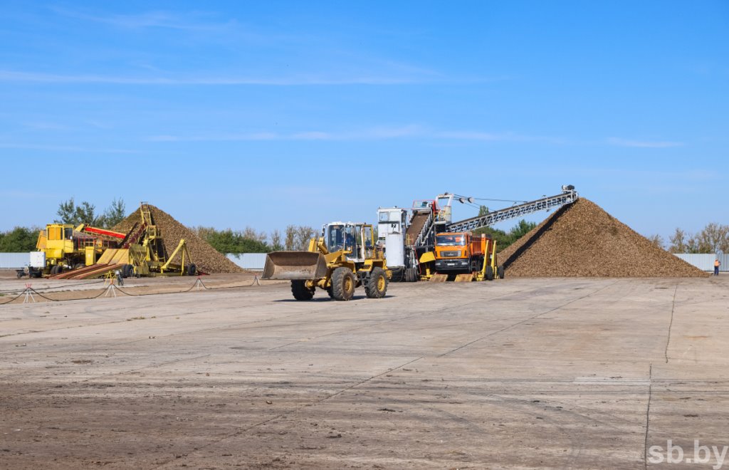 В Брестской области накопано 370 тысяч тонн сахарной свеклы