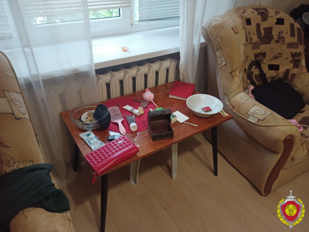 Случайное знакомство у подъезда обернулось изнасилованием и грабежом в Бресте