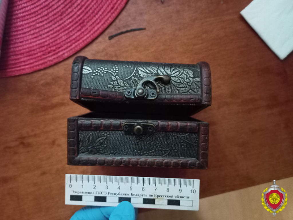 Случайное знакомство у подъезда обернулось изнасилованием и грабежом в Бресте