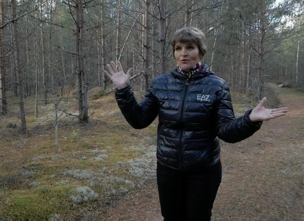 Увидела лапы с когтями и пасть: белорусы рассказали о нападениях медведей