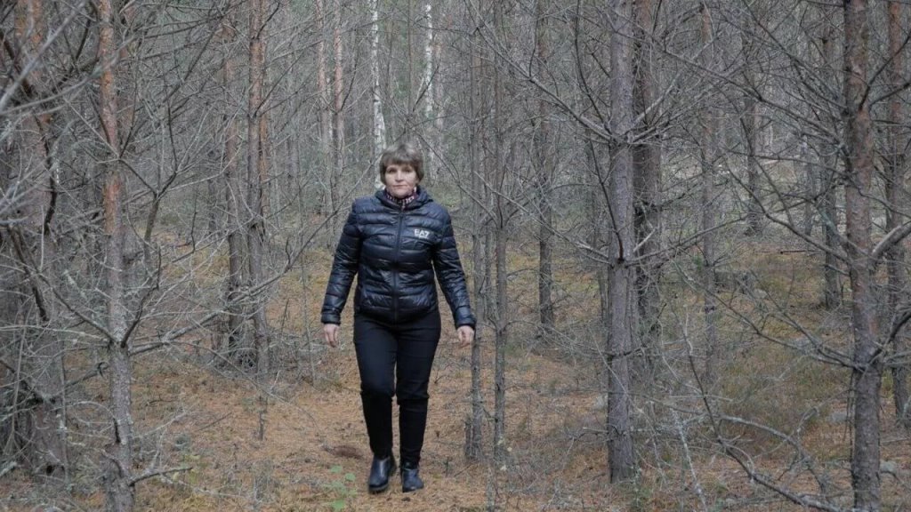 Увидела лапы с когтями и пасть: белорусы рассказали о нападениях медведей