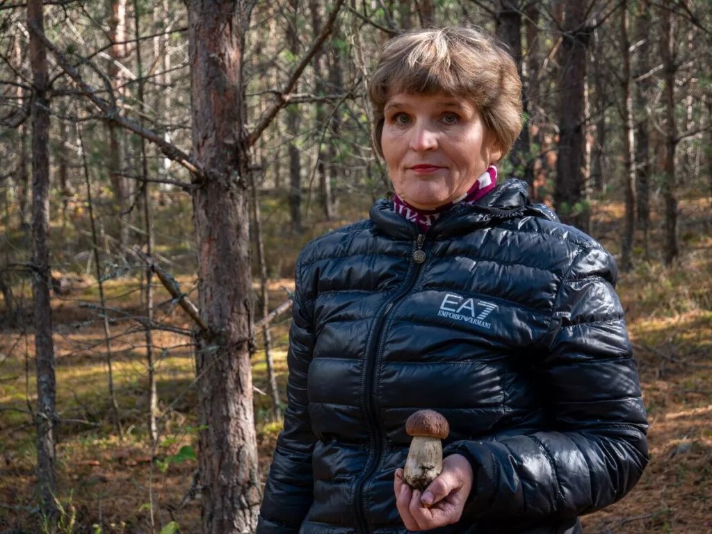 Увидела лапы с когтями и пасть: белорусы рассказали о нападениях медведей