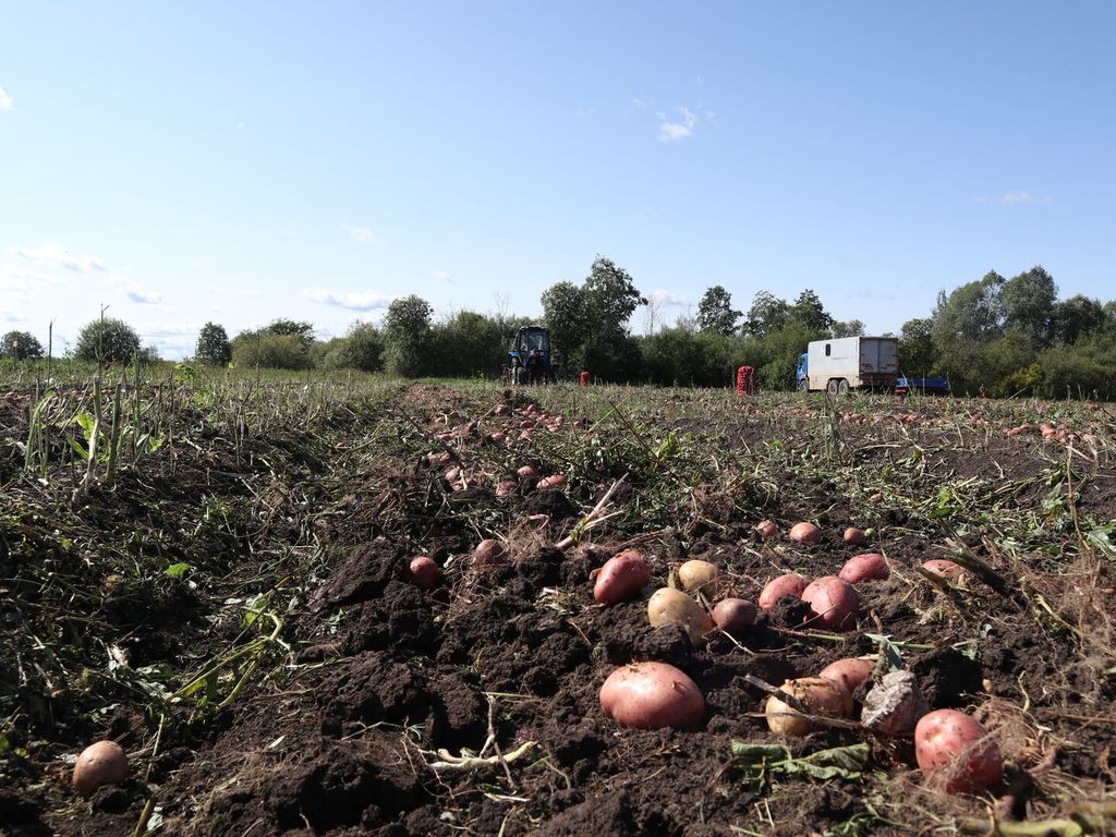 Фото из открытых источников (иллюстративное)