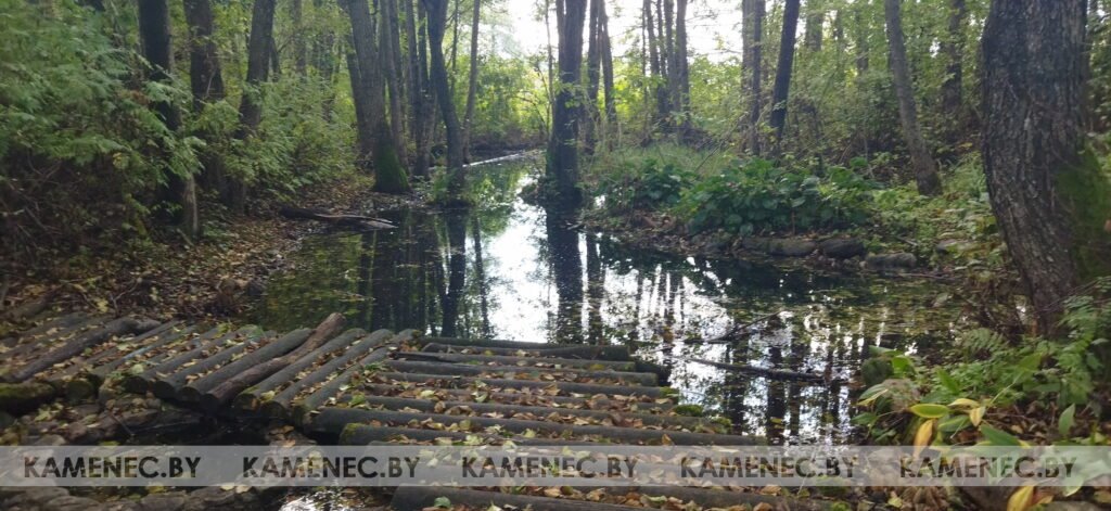 Жители Огородников Каменецкого района несколько лет пытаются вернуть к жизни целебный родник