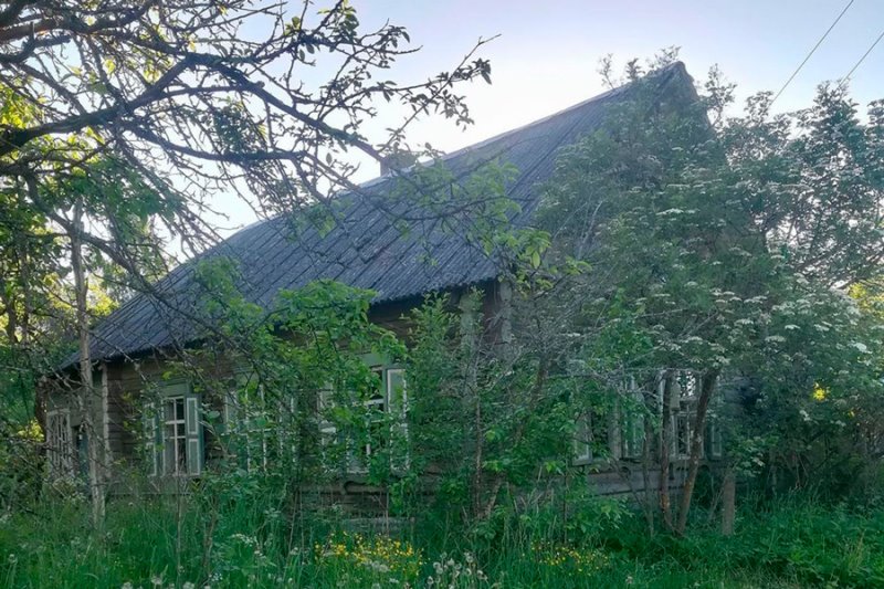 Ветхий дом стоил $500: как семья из Минска переехала в заброшенную деревню
