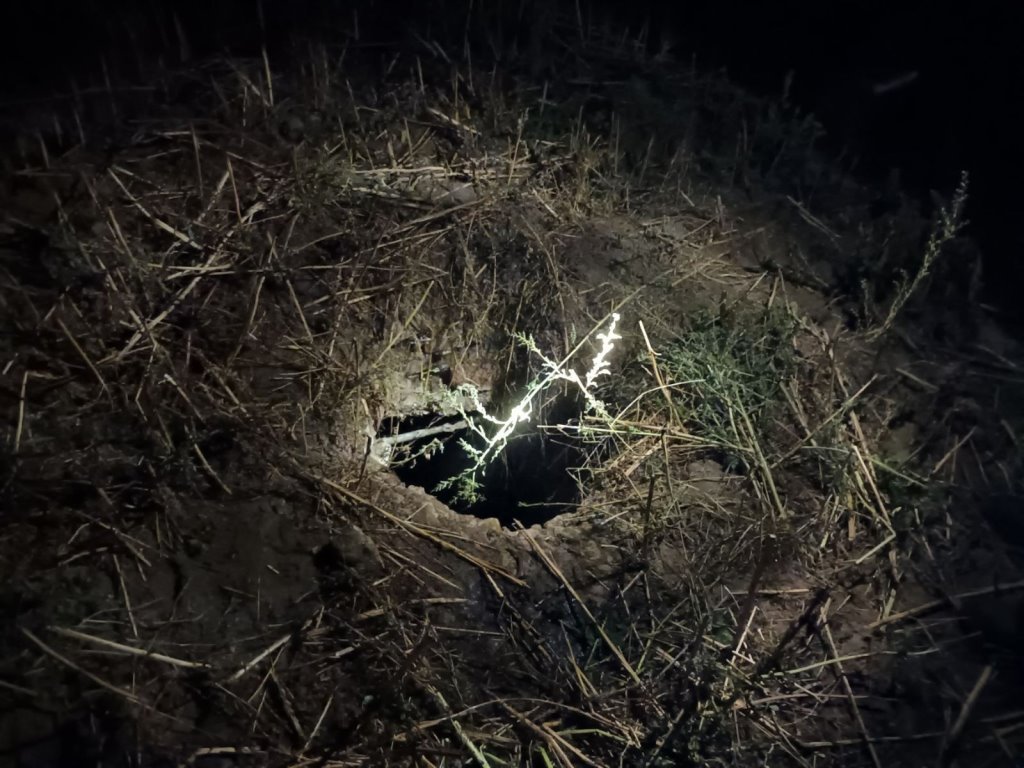 Мальчик с собакой упал в колодец в Гомельской области. Его спасли МЧС